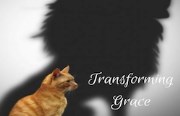 Transforming Grace Part 5 - Breaking the cycle of guilt and shame