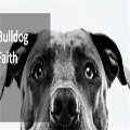 Video. Bulldog Faith 1 - What does your faith look like.mp4